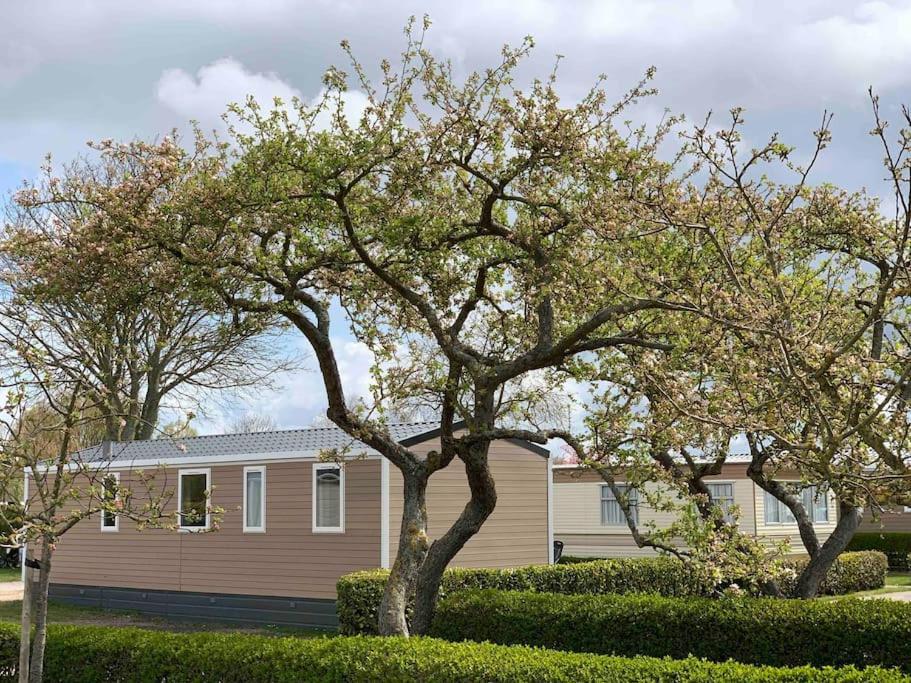 Gezellig Chalet In Het Mooie Zeeland - 东卡佩勒 外观 照片